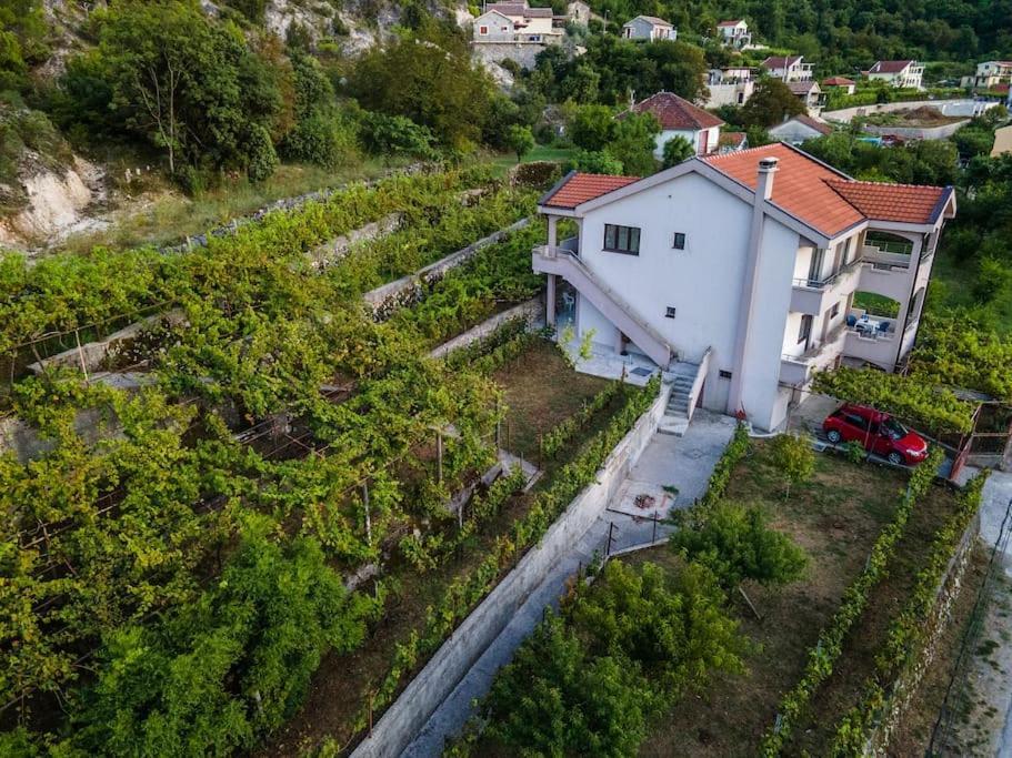 Villa Pavle'S Oasis Virpazar Esterno foto