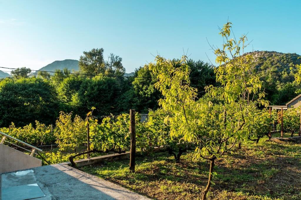 Villa Pavle'S Oasis Virpazar Esterno foto